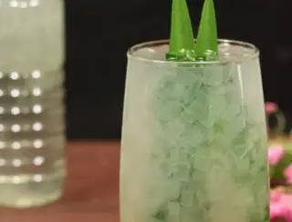 Hình ảnh Nha đam hạt chia