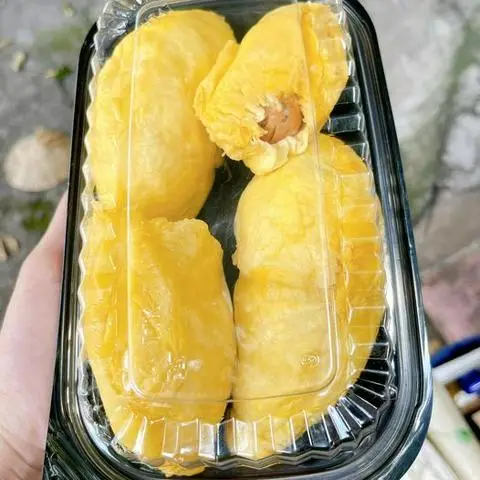 Hình ảnh Sầu Riêng Nhà Ngọc - Đường Số 45