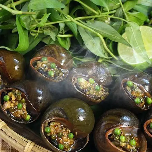 Hình ảnh Ốc Oanh - Trần Khắc Chân