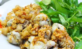Hình ảnh Sò huyết