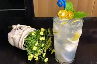 Hình ảnh Dừa tắc