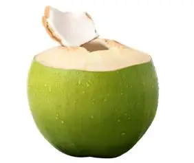 Hình ảnh Dừa xiêm