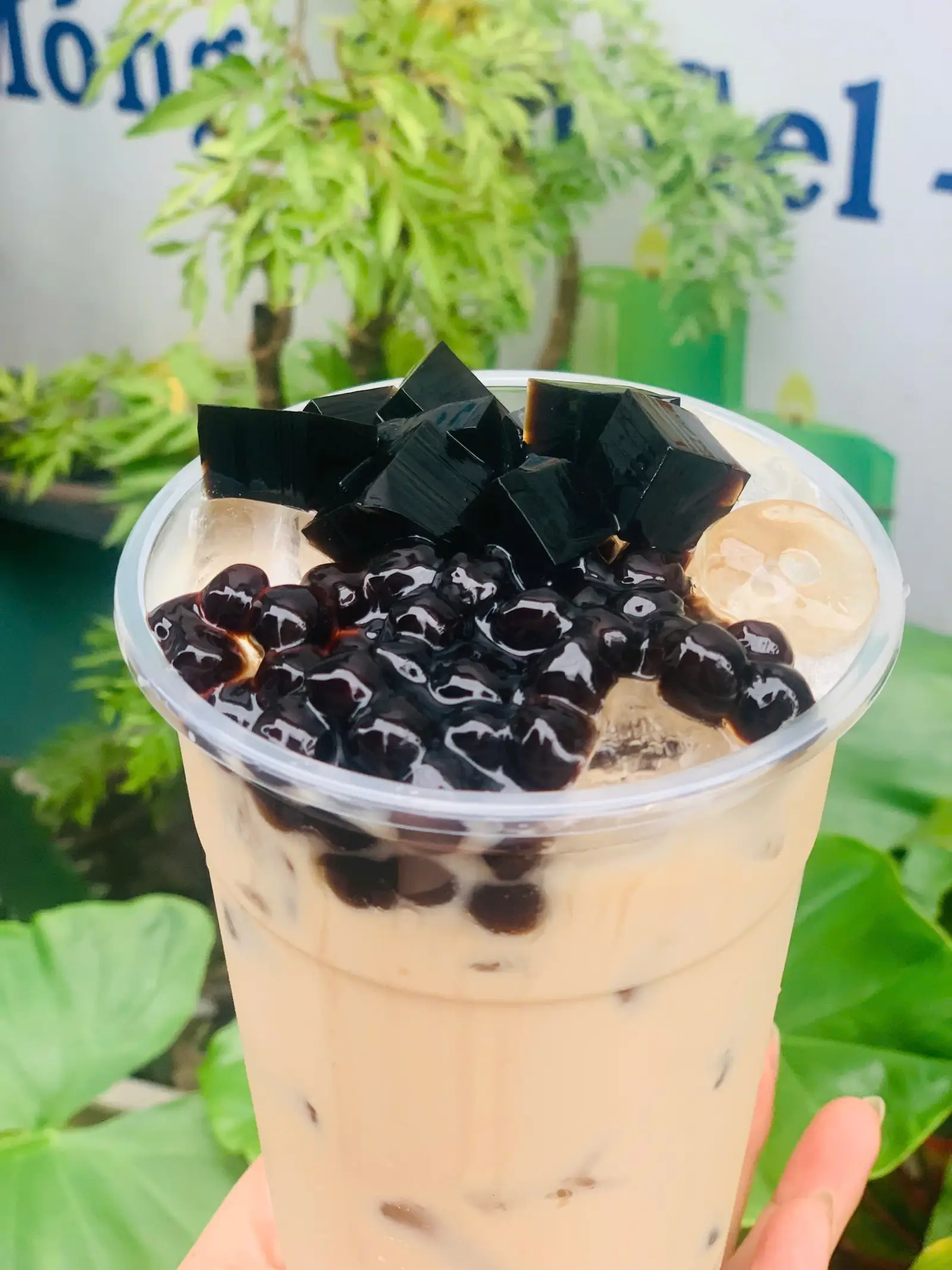Hình ảnh Trà sữa trân châu sương sáo
