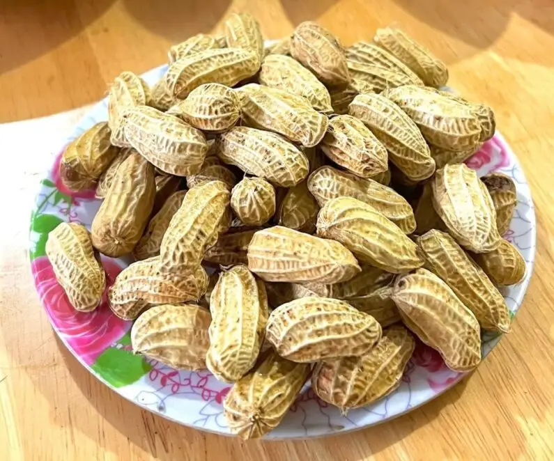 Hình ảnh Lạc luộc