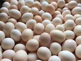 Hình ảnh Trứng chần
