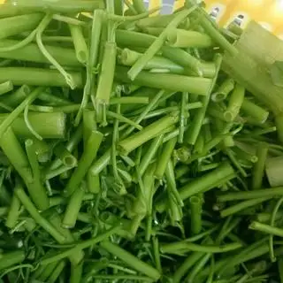 Hình ảnh Rau thêm
