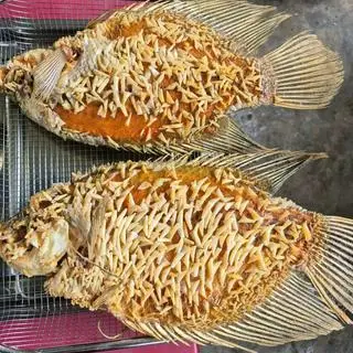 Hình ảnh Cá tai tượng chiên xù 2kg