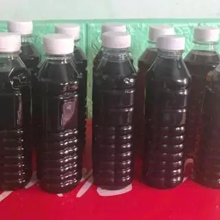 Hình ảnh Sâm lạnh