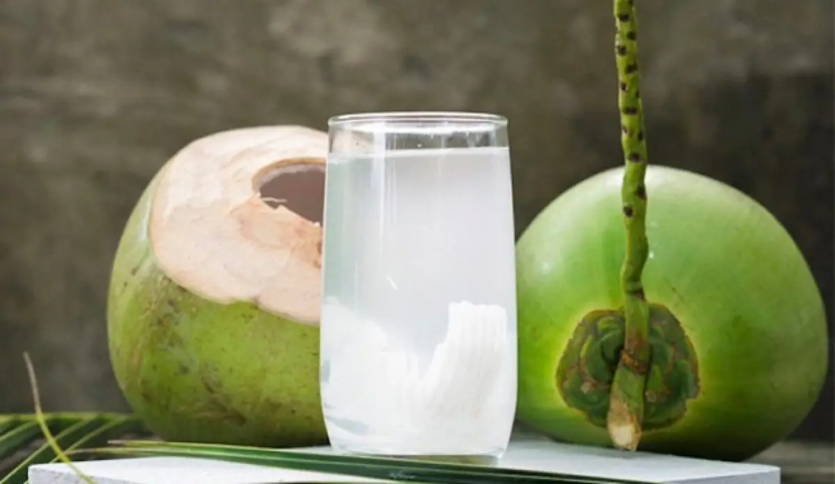 Hình ảnh Dừa tươi Bến Tre
