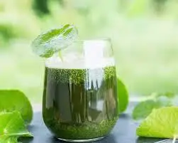 Hình ảnh Rau má đậu đen sữa dừa - ly khổng lồ