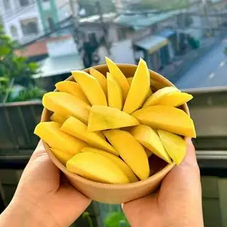 Hình ảnh Xoài 4 Quý