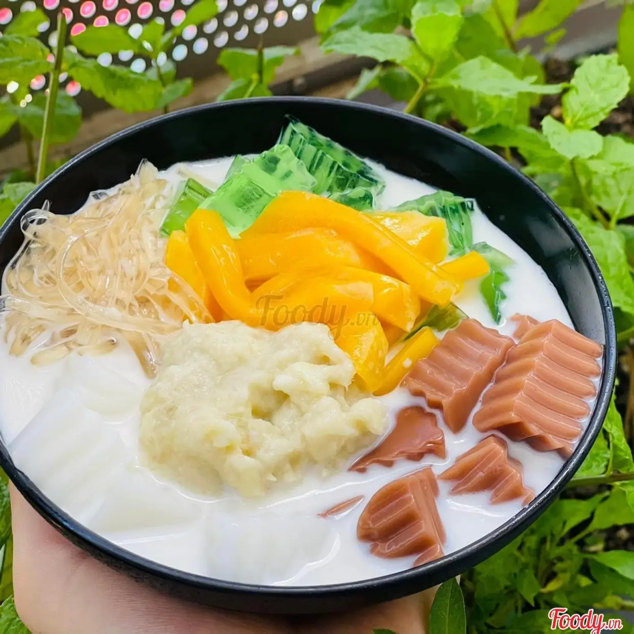 Hình ảnh Chè sầu Thanh Trần