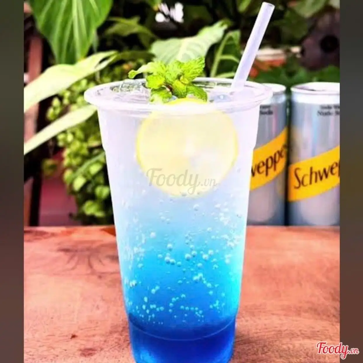 Hình ảnh Soda biển xanh
