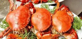 Ảnh đại diện Cua Ngon Cà Mau 314