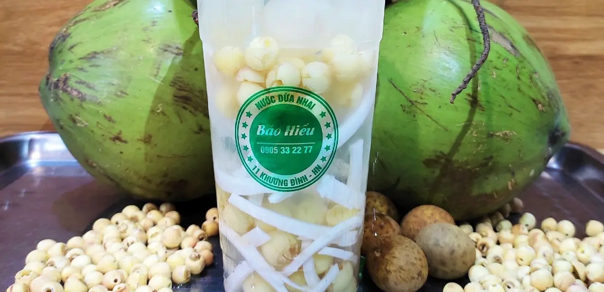 Ảnh bìa Nước Dừa Nhai Bảo Hiếu - Khương Trung