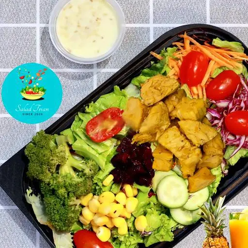 Ảnh bìa Salad Trian - Ngô Tất Tố