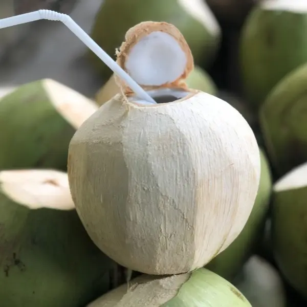 Ảnh bìa Vựa Dừa Tú Nhiên - Tân Thành