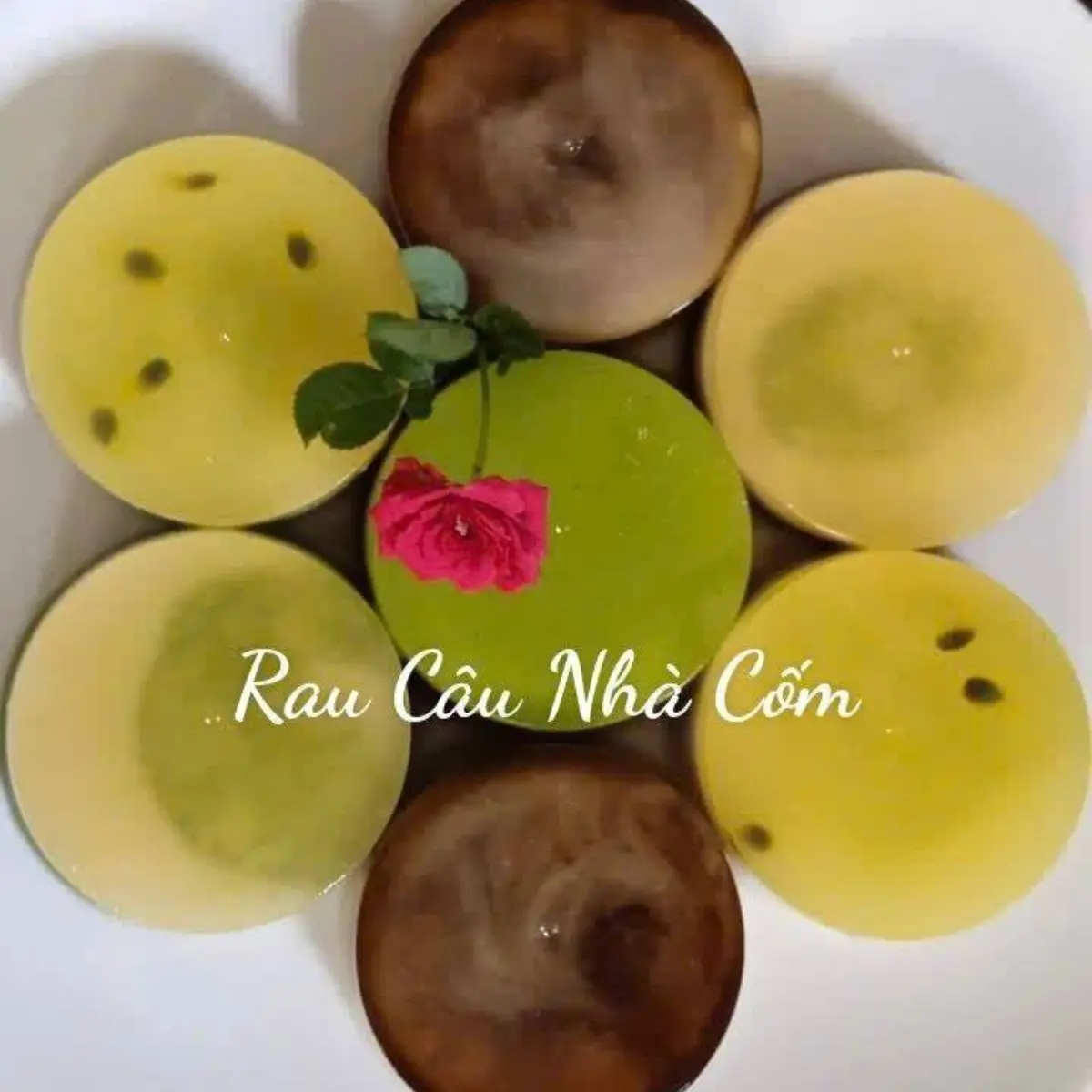 Ảnh bìa Rau Câu Nhà Cốm - Hoàng Bật Đạt 