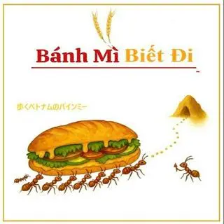Ảnh đại diện Bánh Mì Biết Đi - Bánh Mì Siêu Topping - Tô Hiến Thành