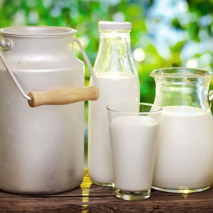 Ảnh bìa Tiệm Sữa Bò Tươi Gia Gia - Tam Đông