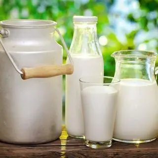 Ảnh đại diện Tiệm Sữa Bò Tươi Gia Gia - Tam Đông