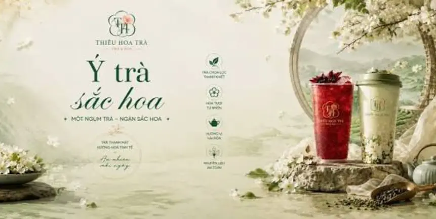 Ảnh bìa Thiều Hoa Trà - Điện Biên Phủ