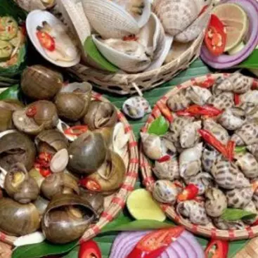 Ảnh bìa Ốc 118 - Nguyễn Khánh Toàn