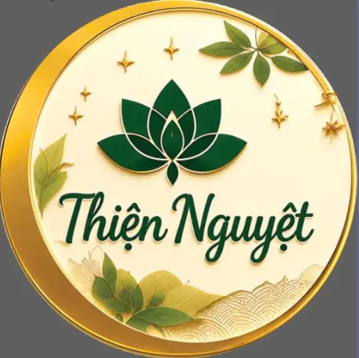 Ảnh bìa Chay Thiện Nguyệt - Thanh Bình