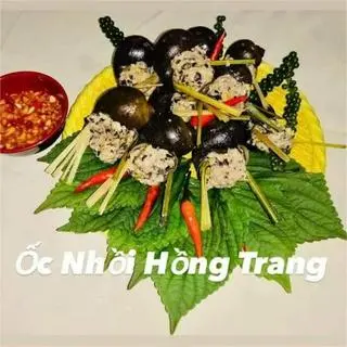 Ảnh đại diện Ốc Nhồi Hồng Trang - Hồ Thị Kỷ