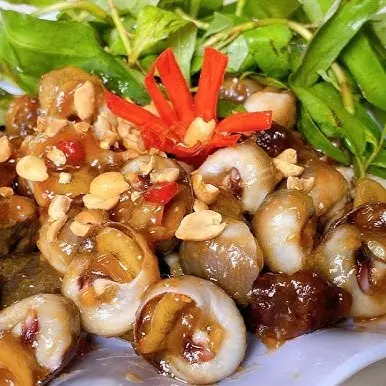 Ảnh bìa Ốc Tí Hon - Món Gì Cũng Có - Cư Xá Phú Bình