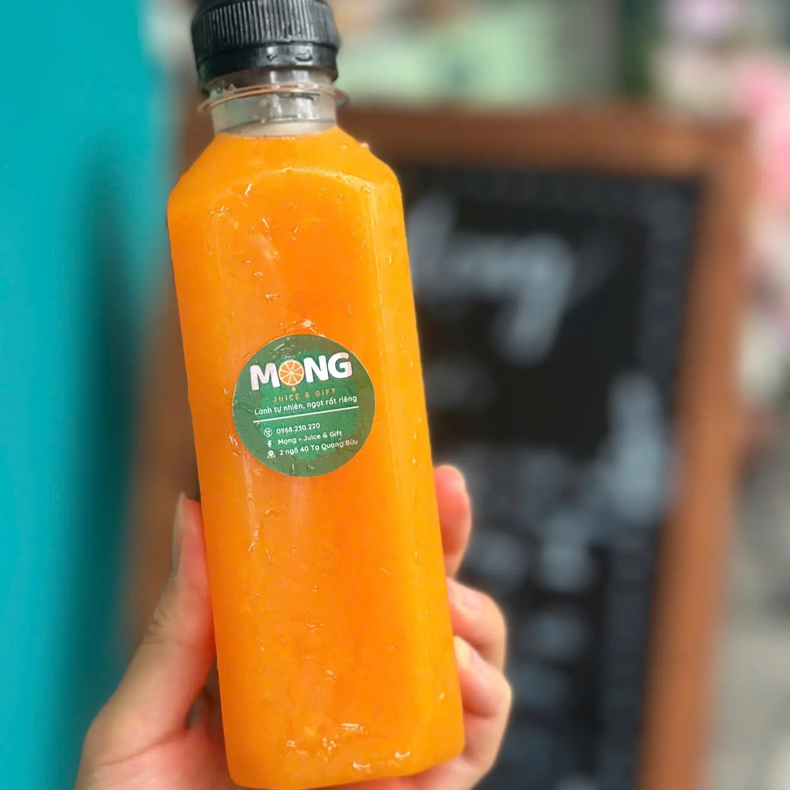Ảnh bìa Mọng Juice & Gift - Tiệm Nước Ép & Trà Trái Cây - Tạ Quang Bửu