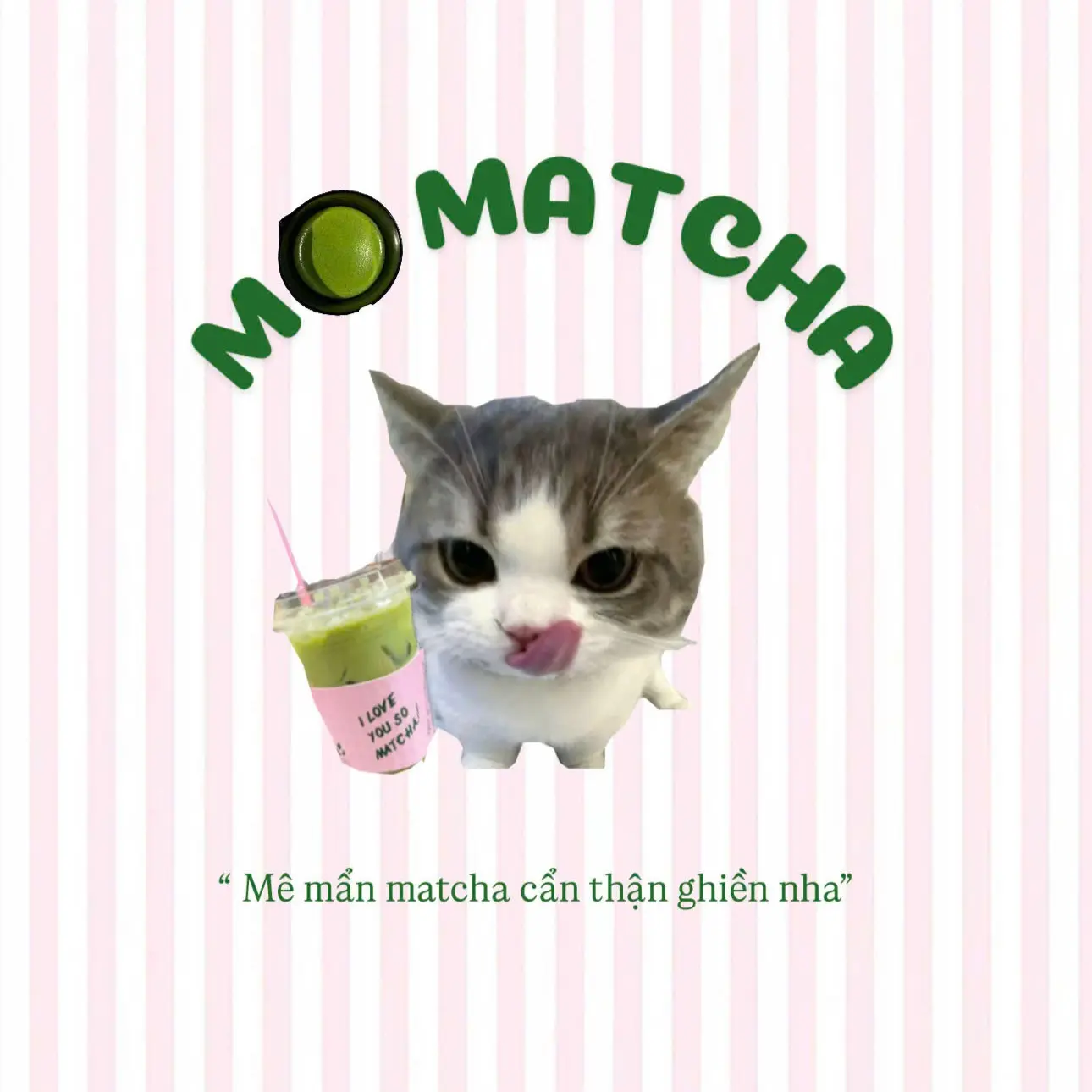 Ảnh bìa MoMatcha - Lạc Long Quân