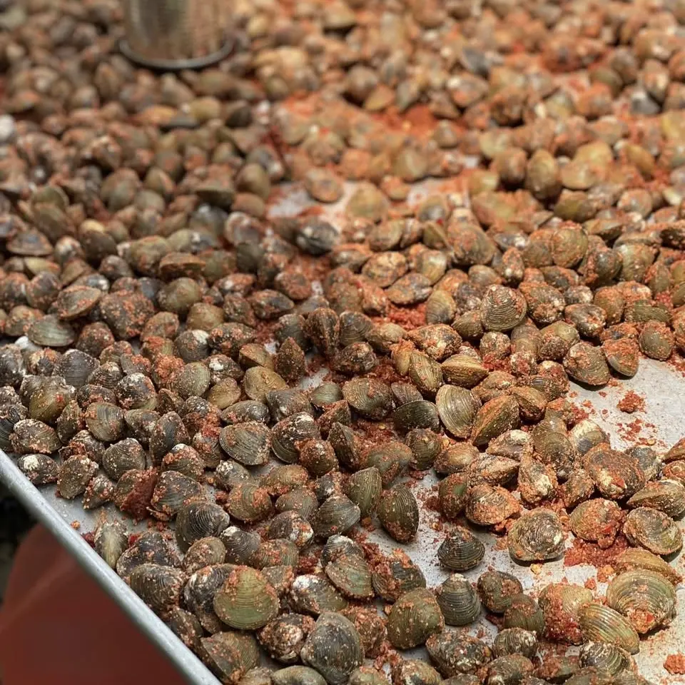 Ảnh bìa Hến Sấy Muối Nhà Linh - Phan Văn Trị