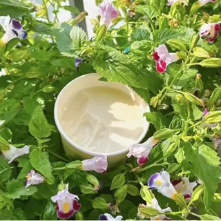 Ảnh đại diện Tàu Hủ Tươi Lạnh Tofu - Lê Thị Hồng