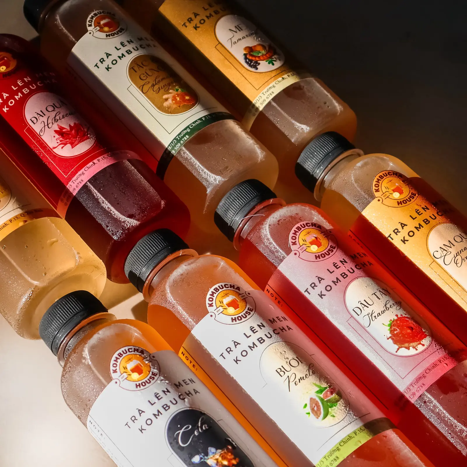 Ảnh bìa Kombucha House - Trà Lên Men Kombucha Vị Trái Cây - Trường Chinh