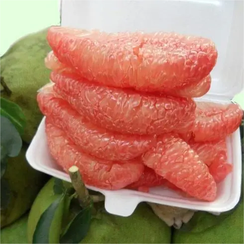 Ảnh bìa Rau Câu Sơn Thủy & Trái Cây Trọng Chánh - Lê Tấn Bê