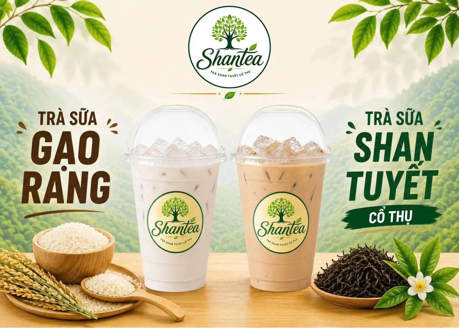 Ảnh bìa Trà Sữa Shantea - Lê Văn Quới