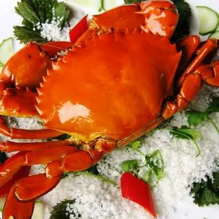 Ảnh đại diện Hải Sản KK - Tân Hoà Đông
