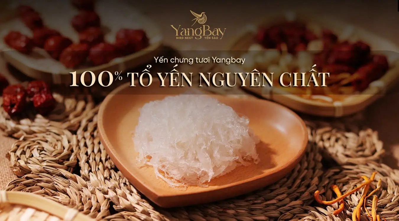 Ảnh bìa Yến Sào Yang Bay - Chung Cư Sky Center