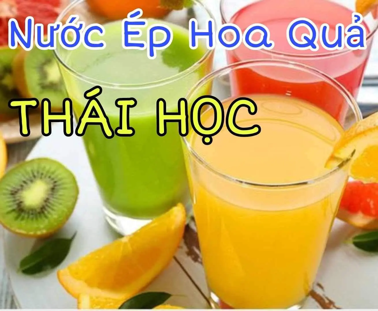 Ảnh bìa Nước Ép Hoa Quả Thái Học - Trần Quốc Vượng