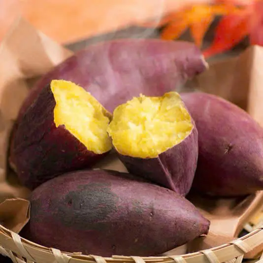 Ảnh bìa Philan Khoai Lang Hấp Củ Quả Luộc - Hiệp Thành 22