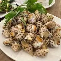 Ảnh đại diện Nướng Lẩu Nhà Long - Song Hành