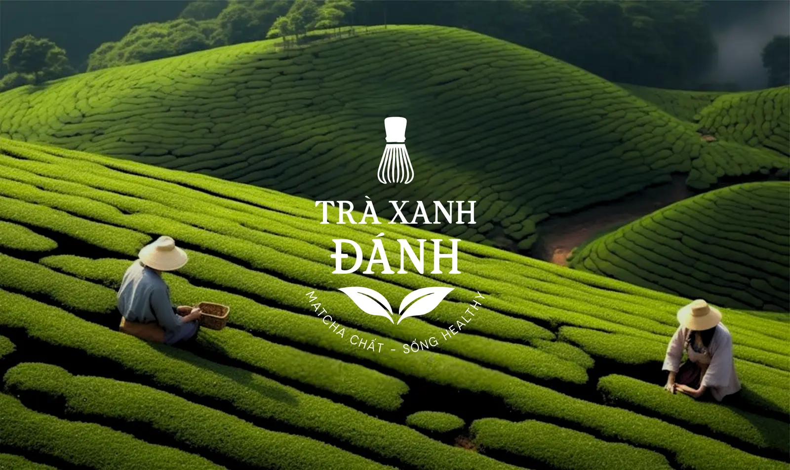 Ảnh bìa Tiệm Trà Xanh Đánh - Matcha, Coffee & Tea - Chung Cư Jamona City
