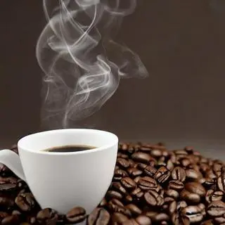 Ảnh đại diện The Shack - Coffee - Quảng An