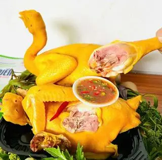 Ảnh đại diện Gà Hấp Cửu Long - Cách Mạng Tháng 8