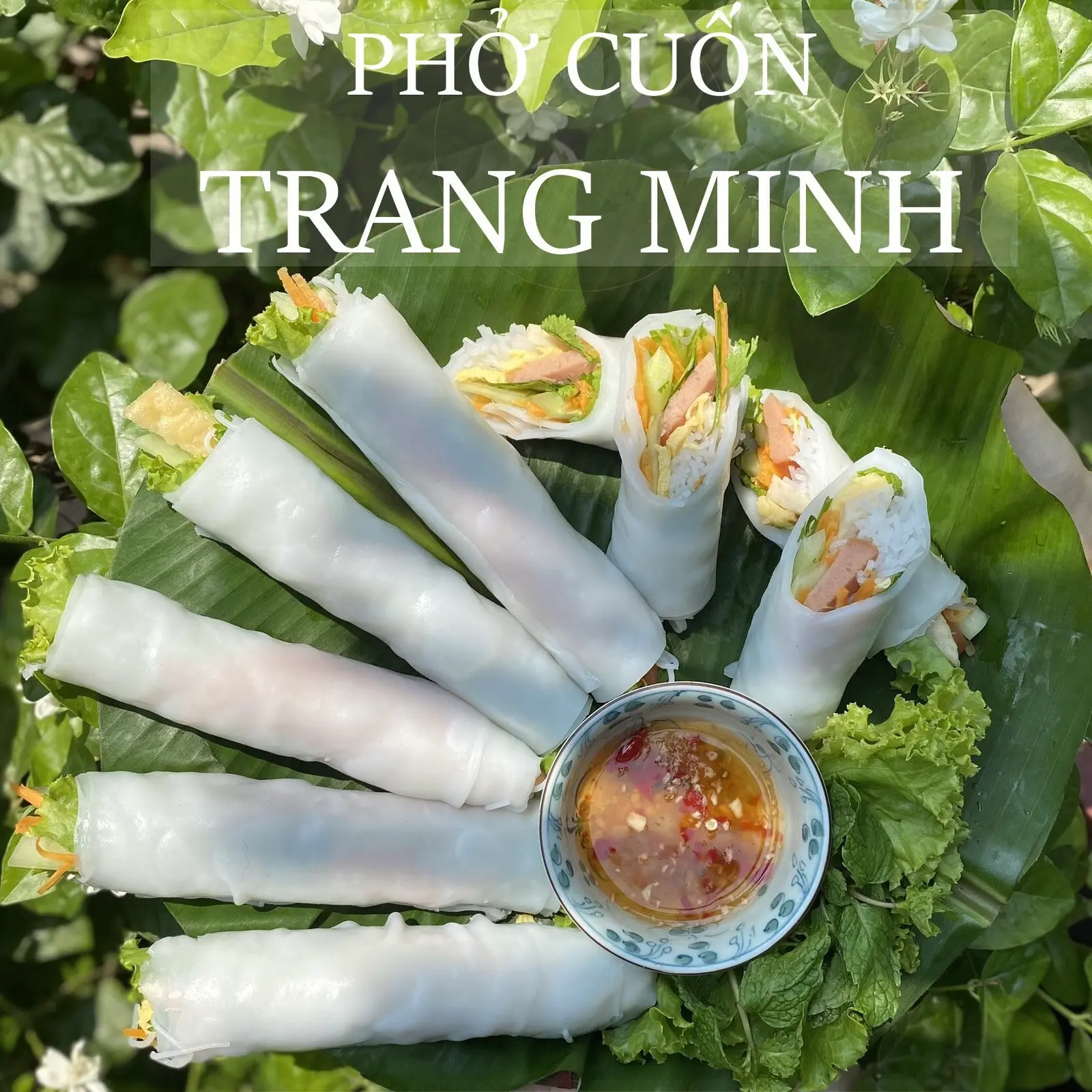 Ảnh bìa Phở Cuốn Trang Minh - Tu Hoàng
