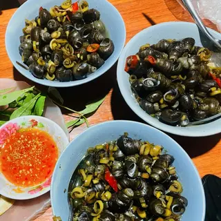 Ảnh đại diện Ốc Hút Miền Trung - Nguyễn Ảnh Thủ