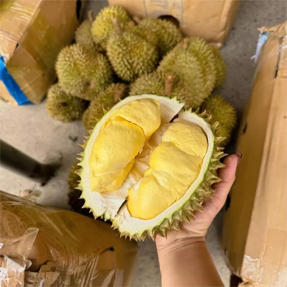 Ảnh bìa  Sầu Riêng Ngon Thúy Xinh - Trương Định
