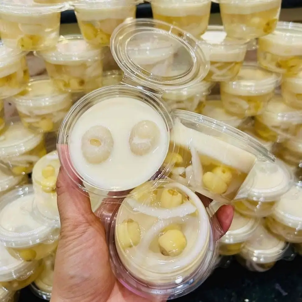 Ảnh bìa Mộc Anh Coco - Rau Câu Dừa & Sen Nhãn Kem - Trần Văn Đang