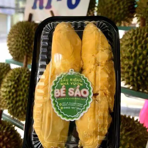 Ảnh bìa Sầu Riêng Nhà Vườn Bé Sáo - Lê Quang Định